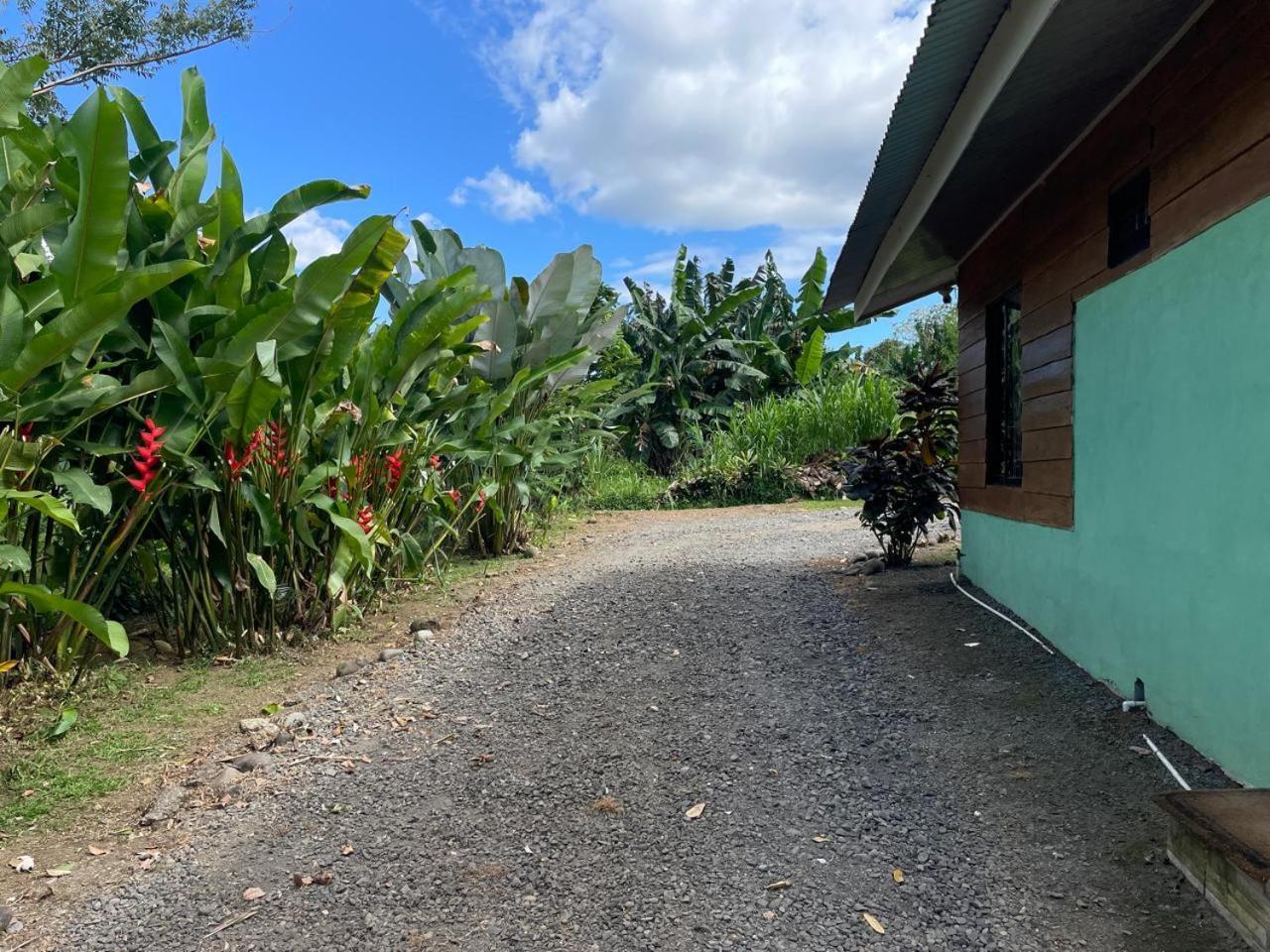 Cabana Rural Ave Del Paraiso La Fortuna Екстериор снимка
